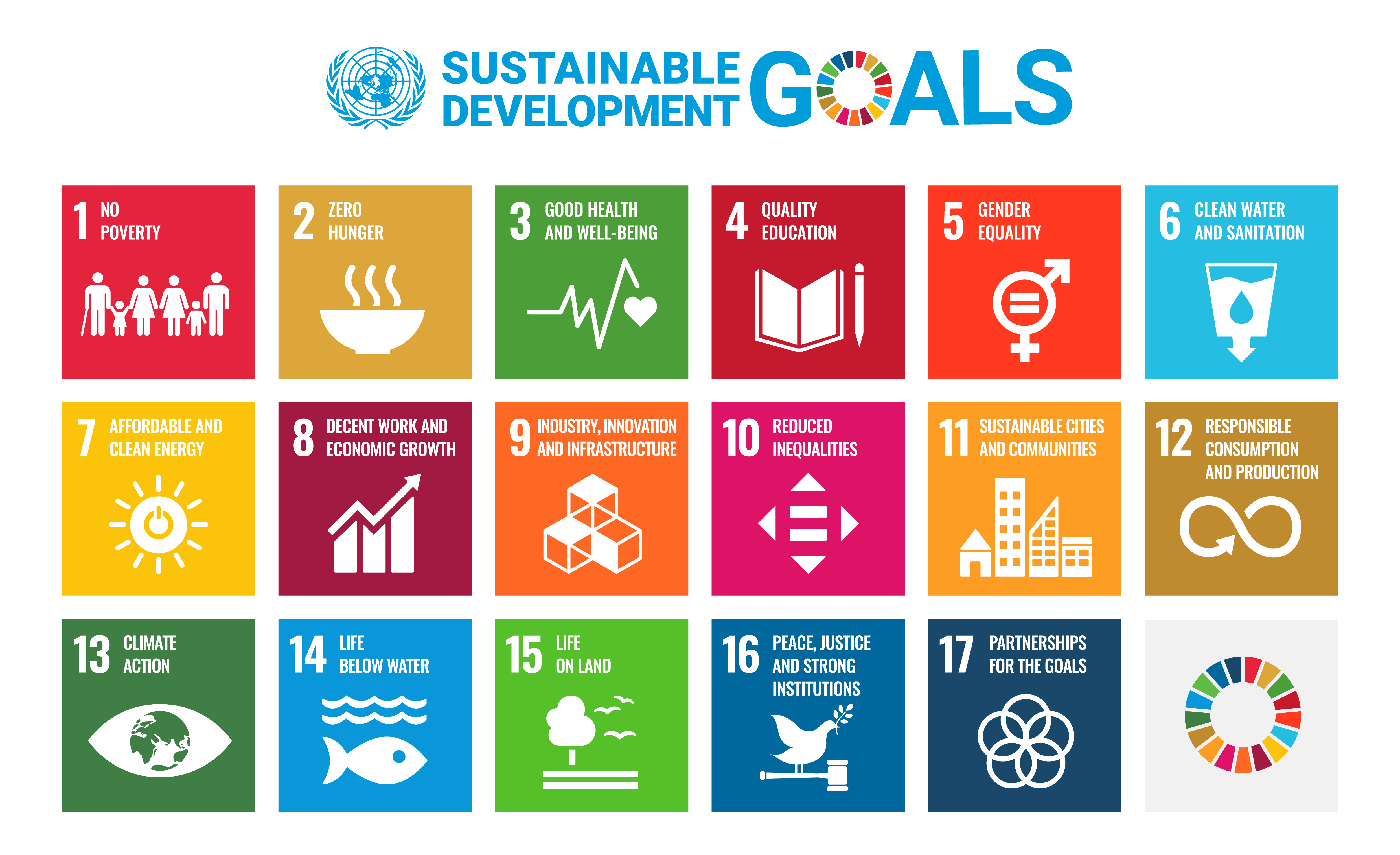 SDG Logo and Goals