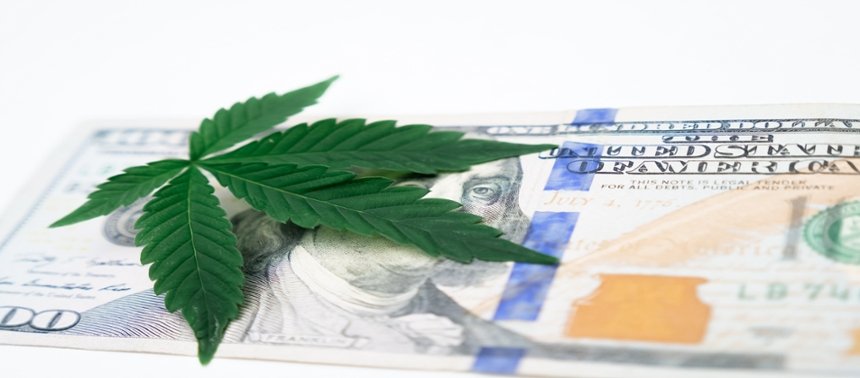 Cannabis leaf on money