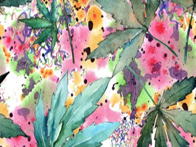 Cannabis watercolors feature size