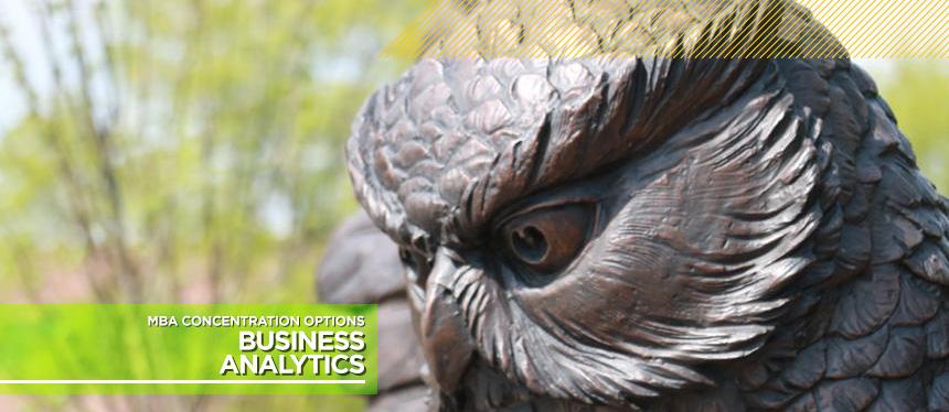 Photo of Prof Pride Owl Statue,