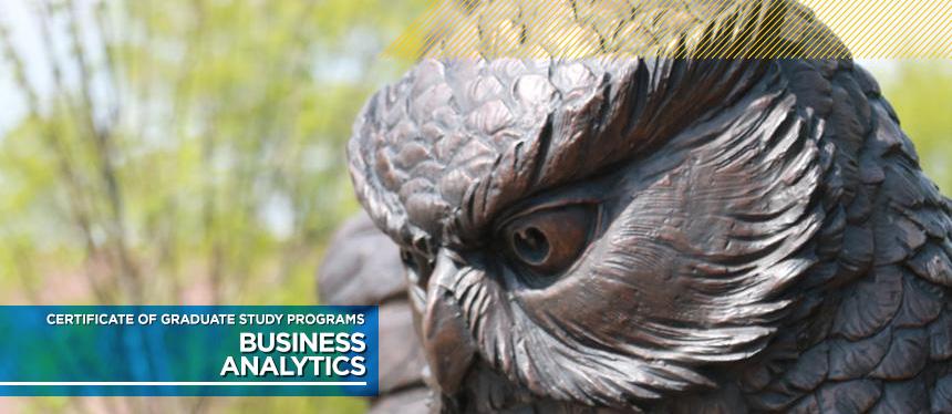 Photo of Prof Pride Owl Statue.