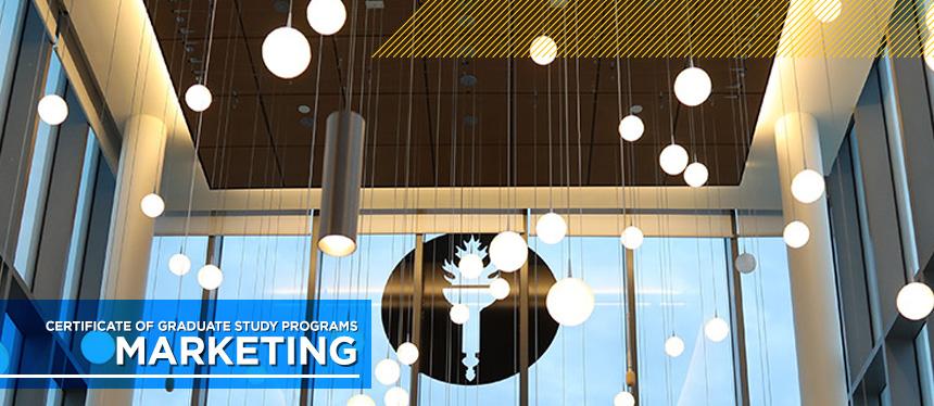 Ceiling of Conference Room in Business Hall.