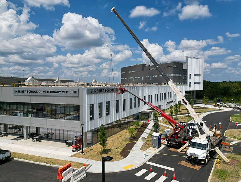 Workers on cranes attach new building signs at Shreiber School of Veterinary Medicine.